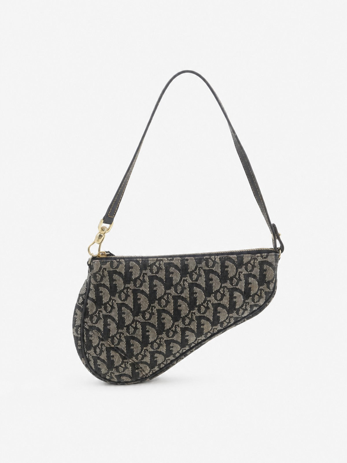 Christian Dior Saddle Pochette