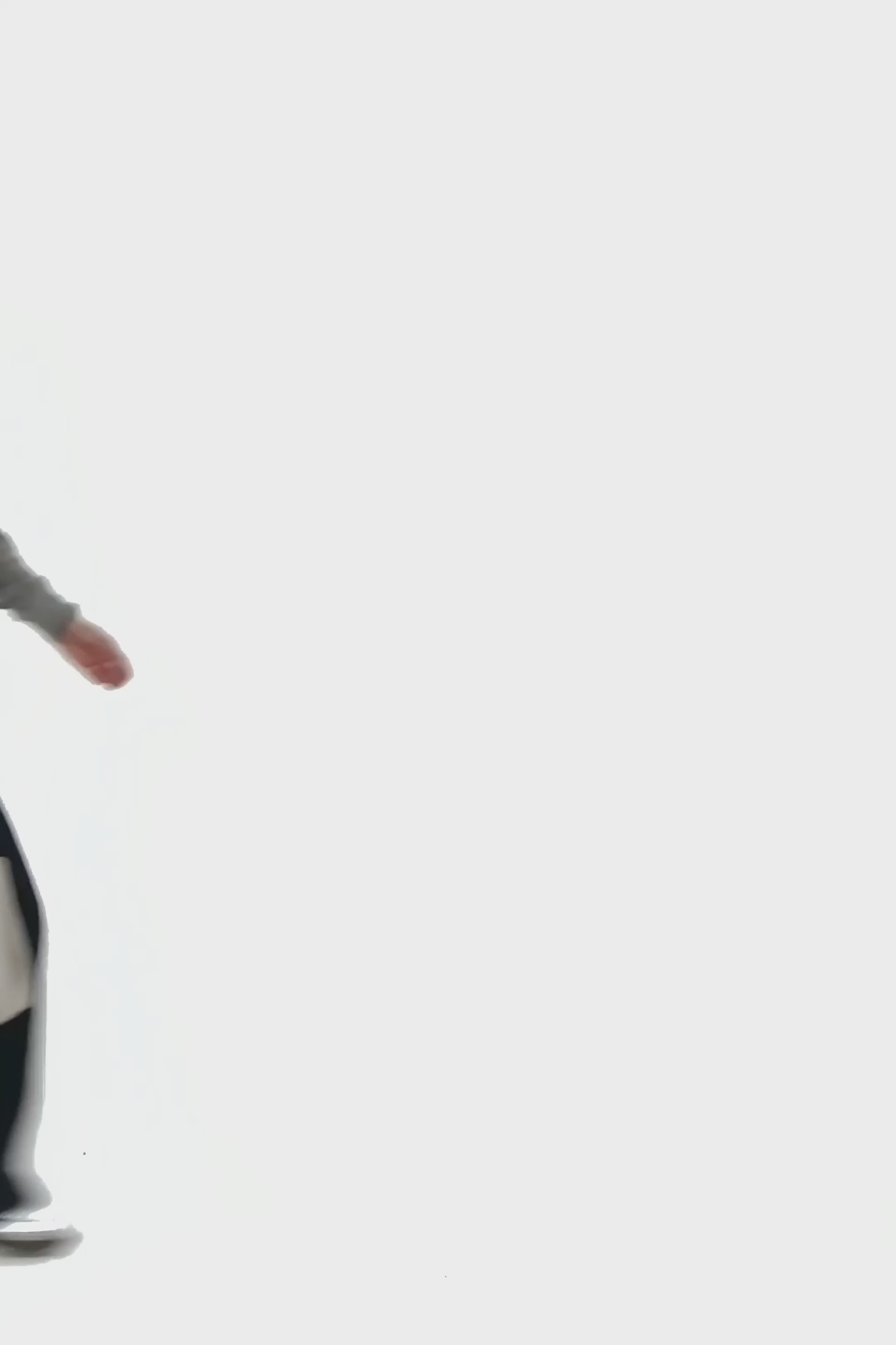 Load video: stylingimage