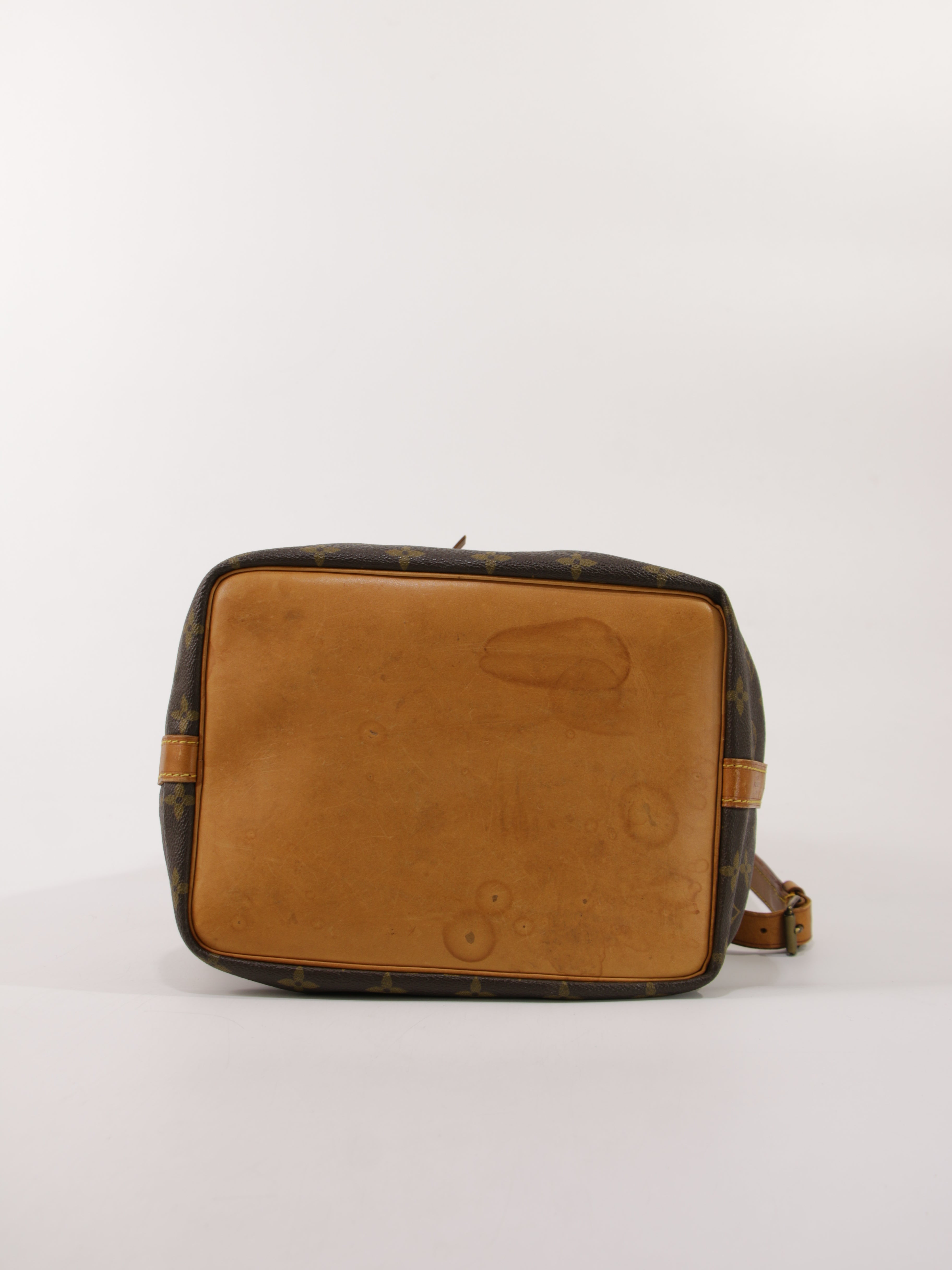 Petit Noé