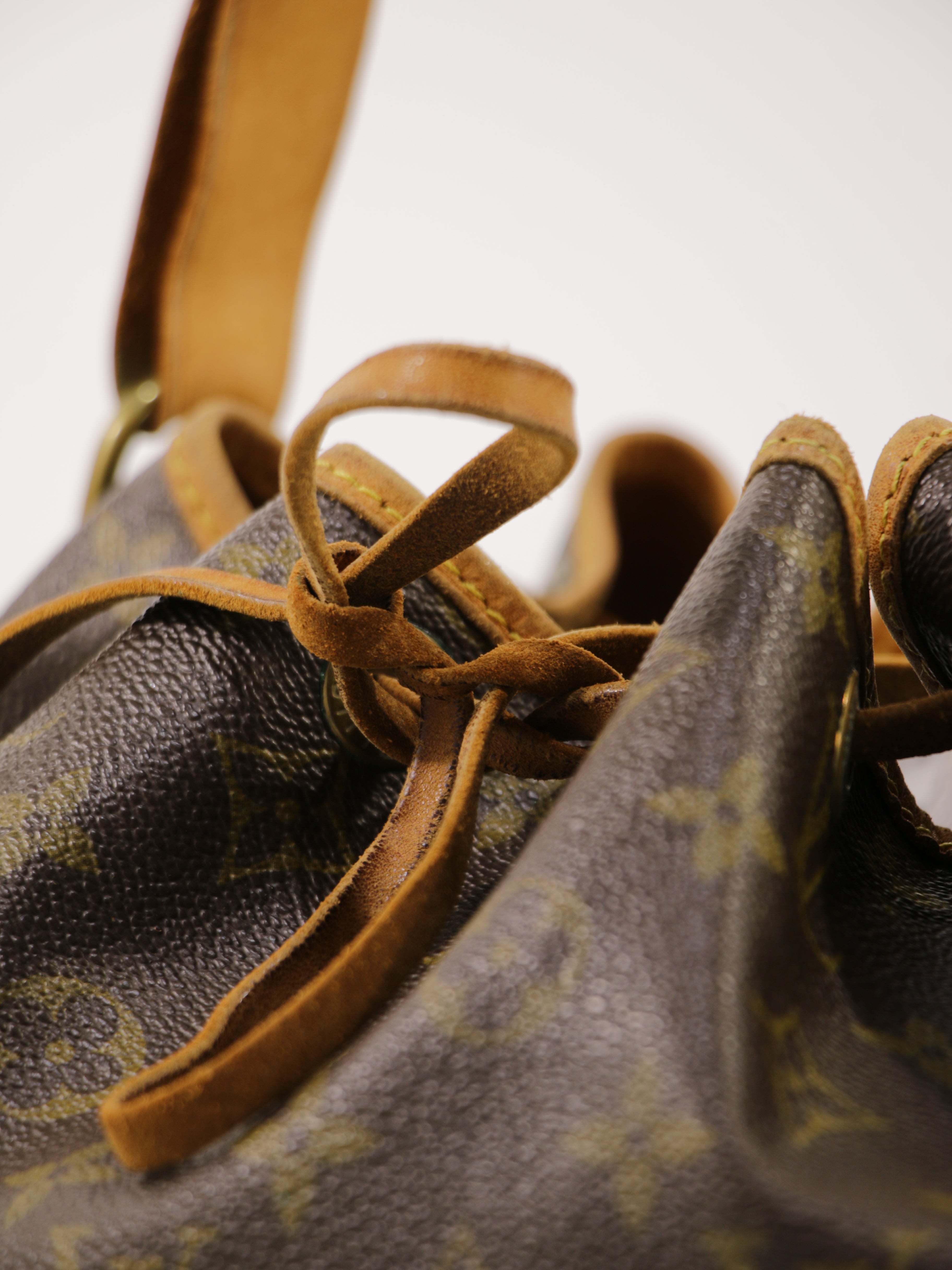 Petit Noé