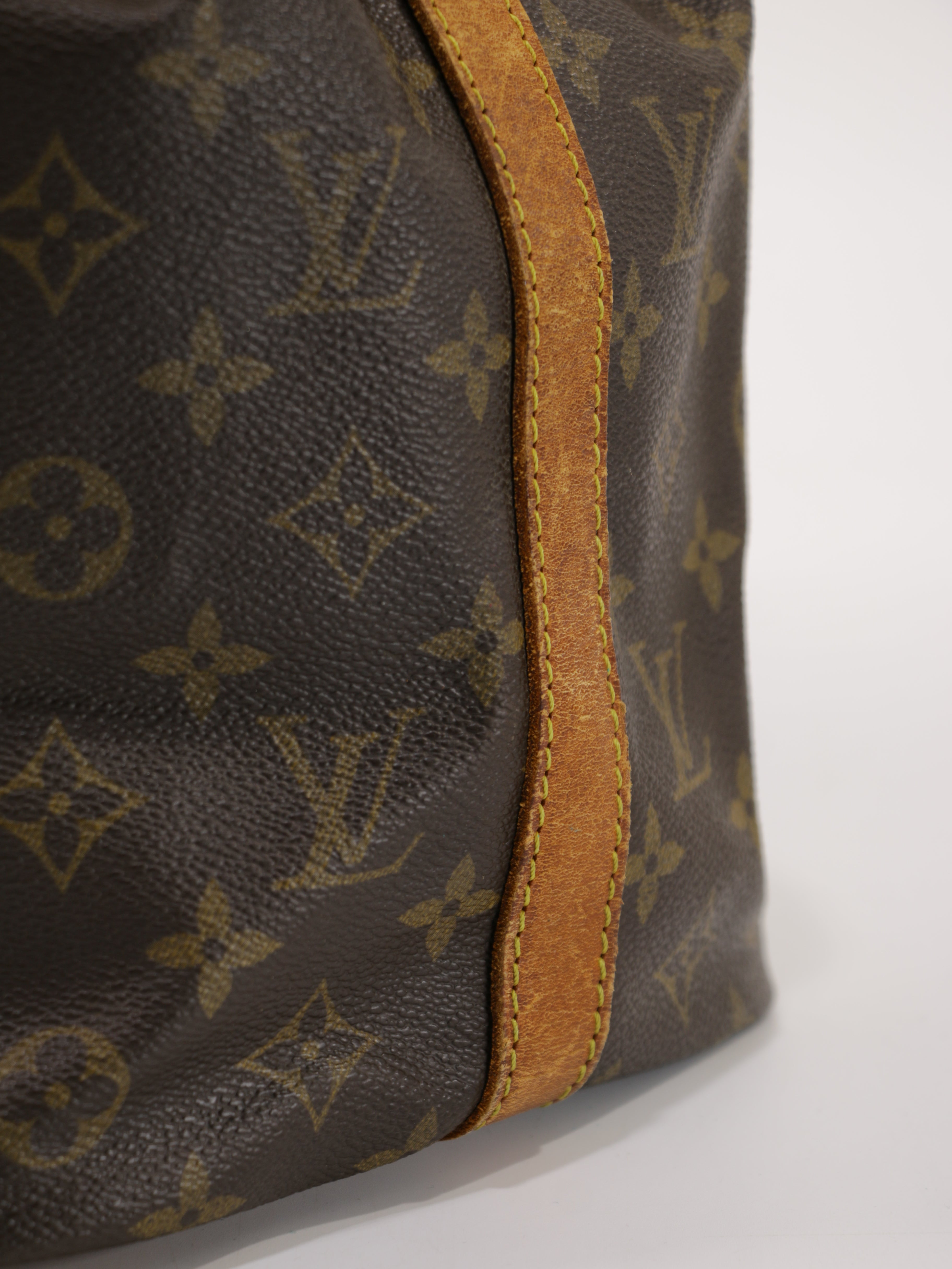 Petit Noé