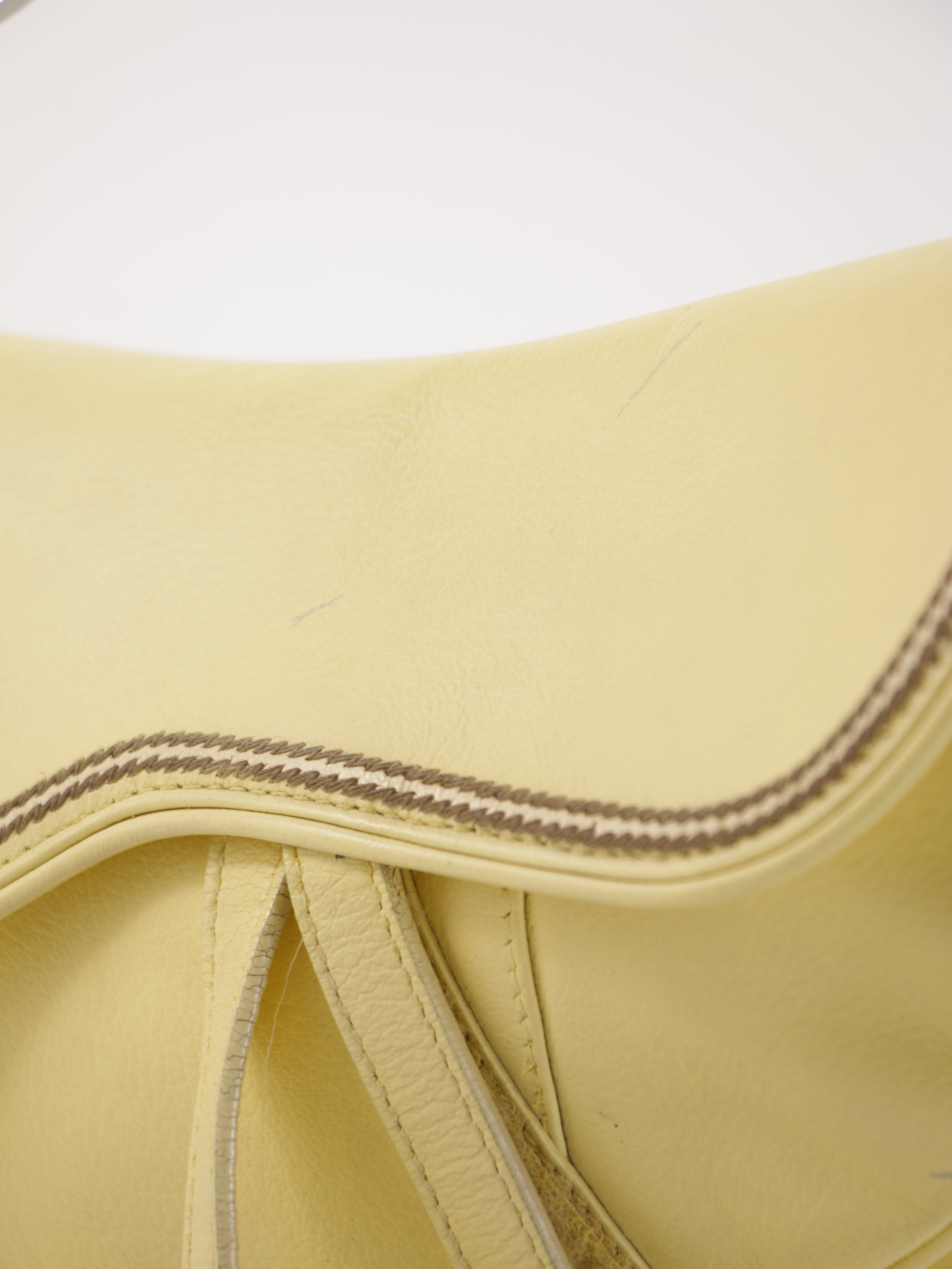 Christian Dior Saddle