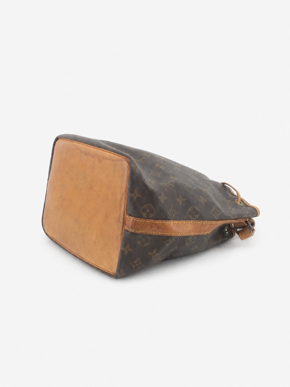 Petit Noé