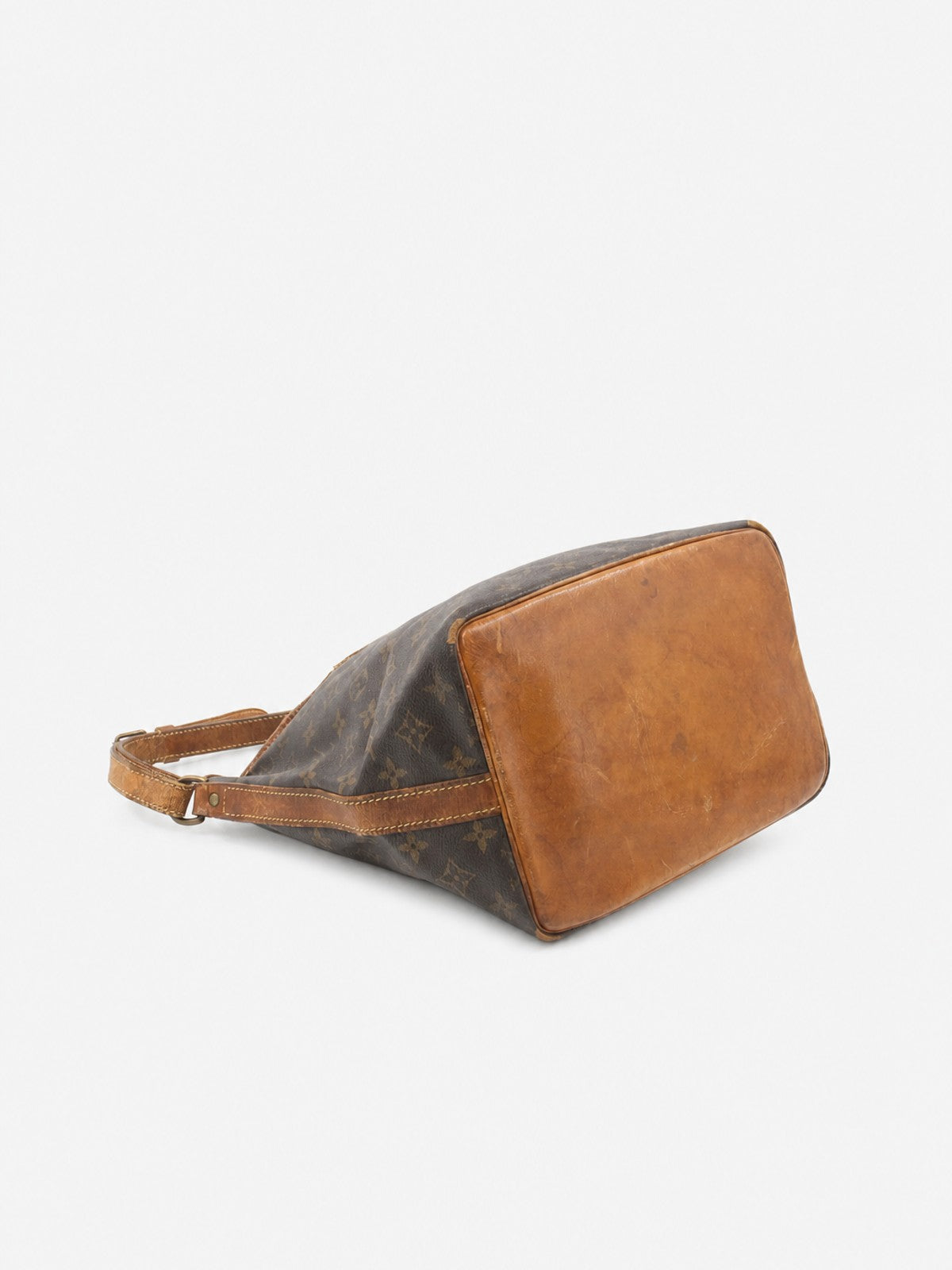 Petit Noé