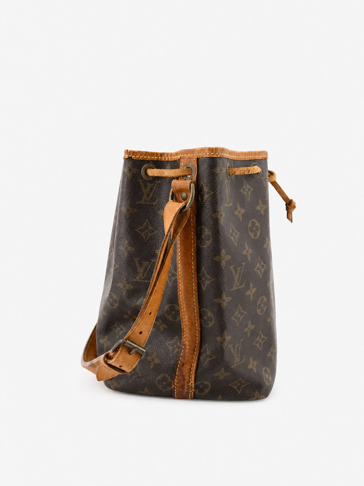 Petit Noé