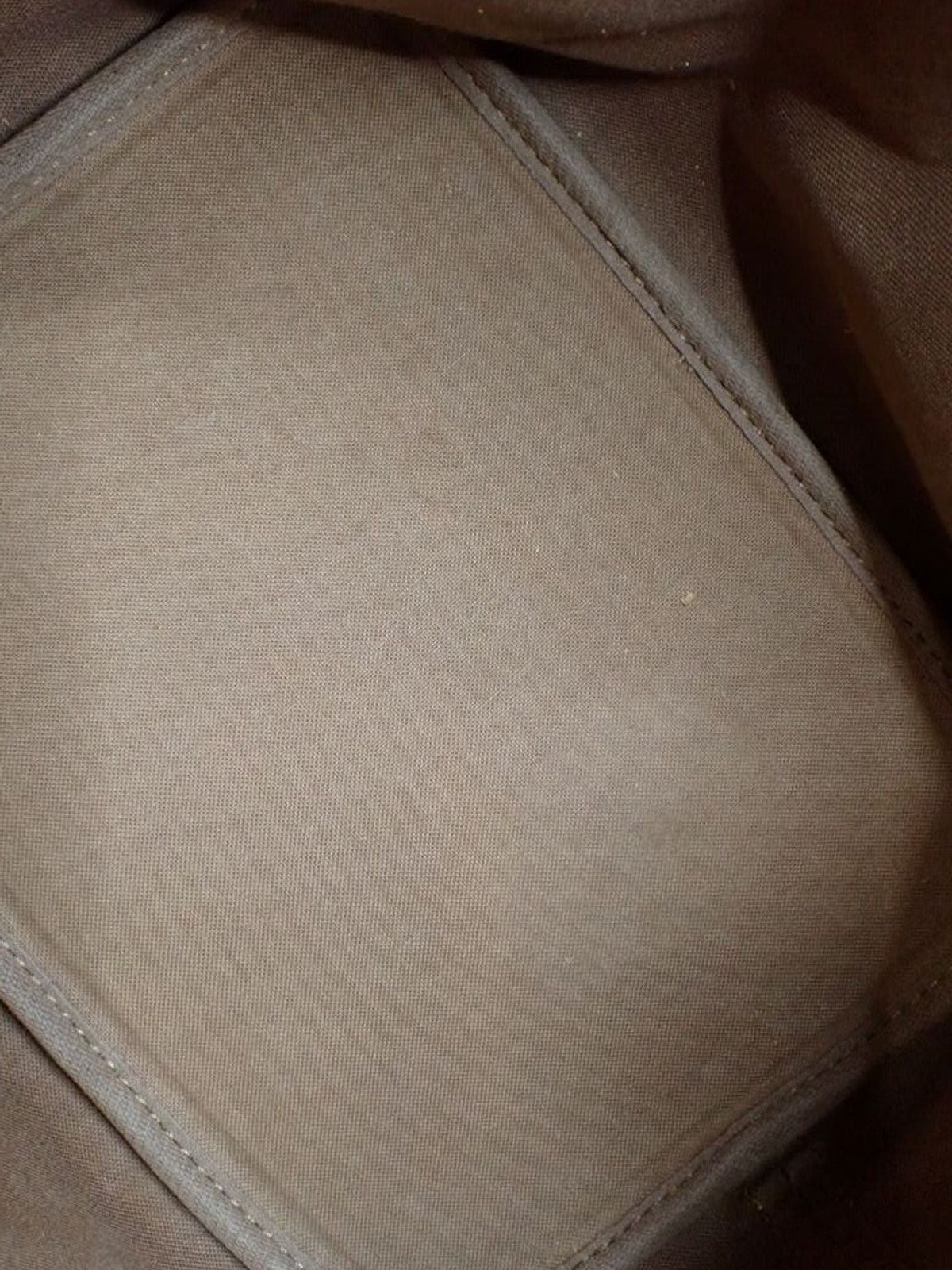 Petit Noé