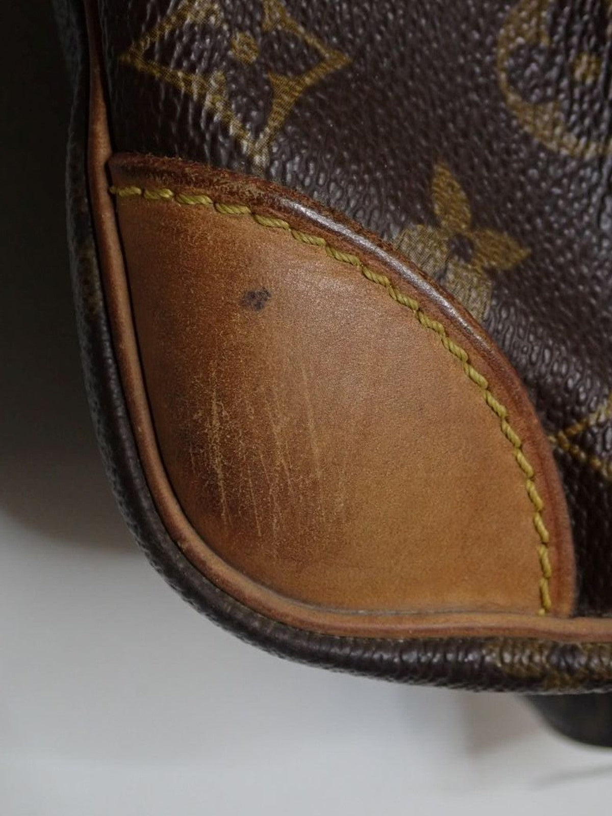 Louis Vuitton Nile PM