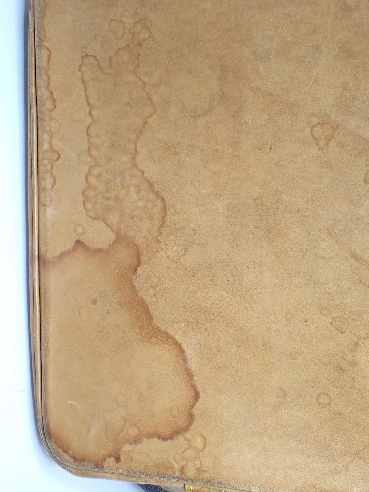 Louis Vuitton Noé