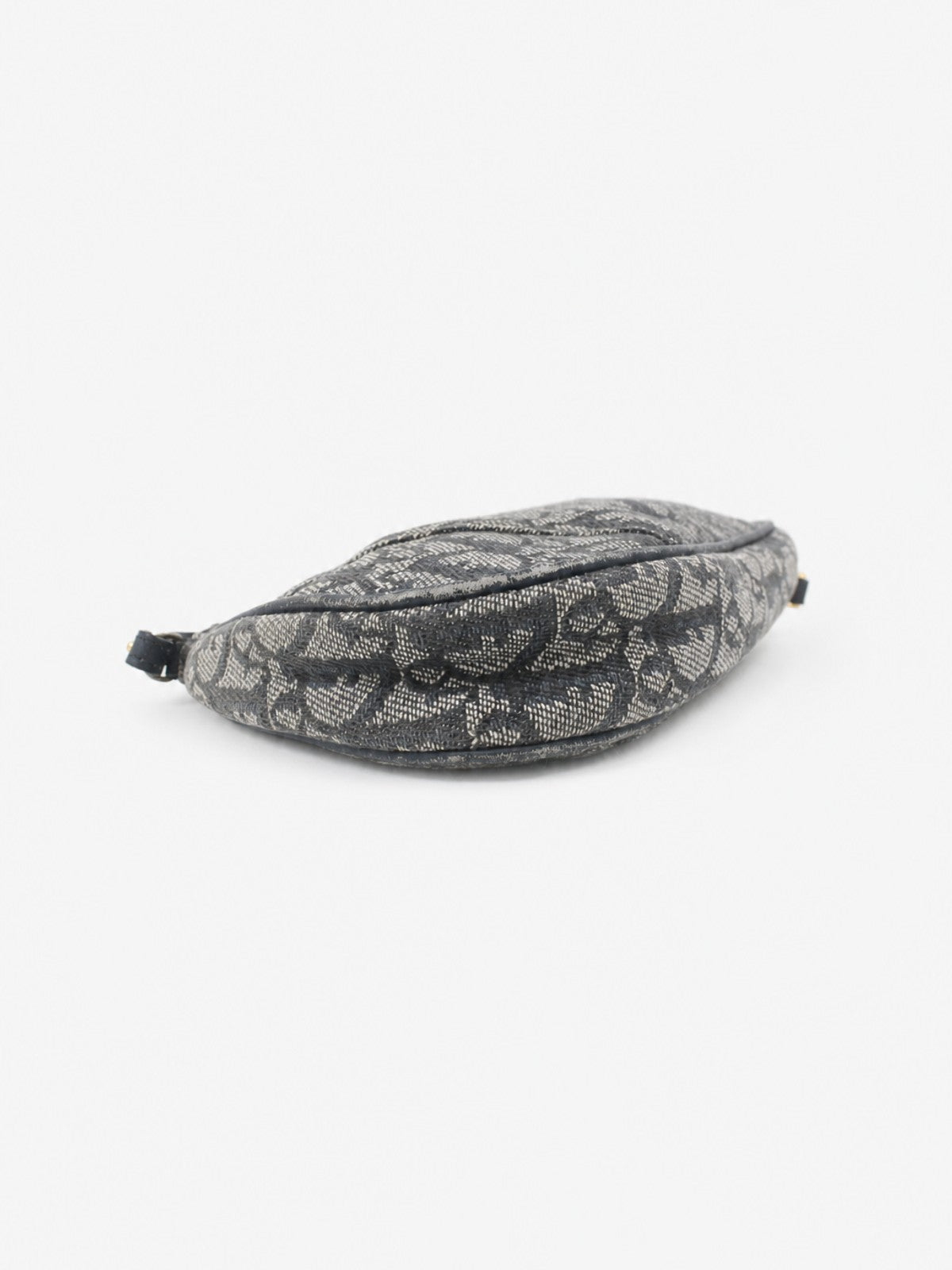 Christian Dior Saddle Pochette