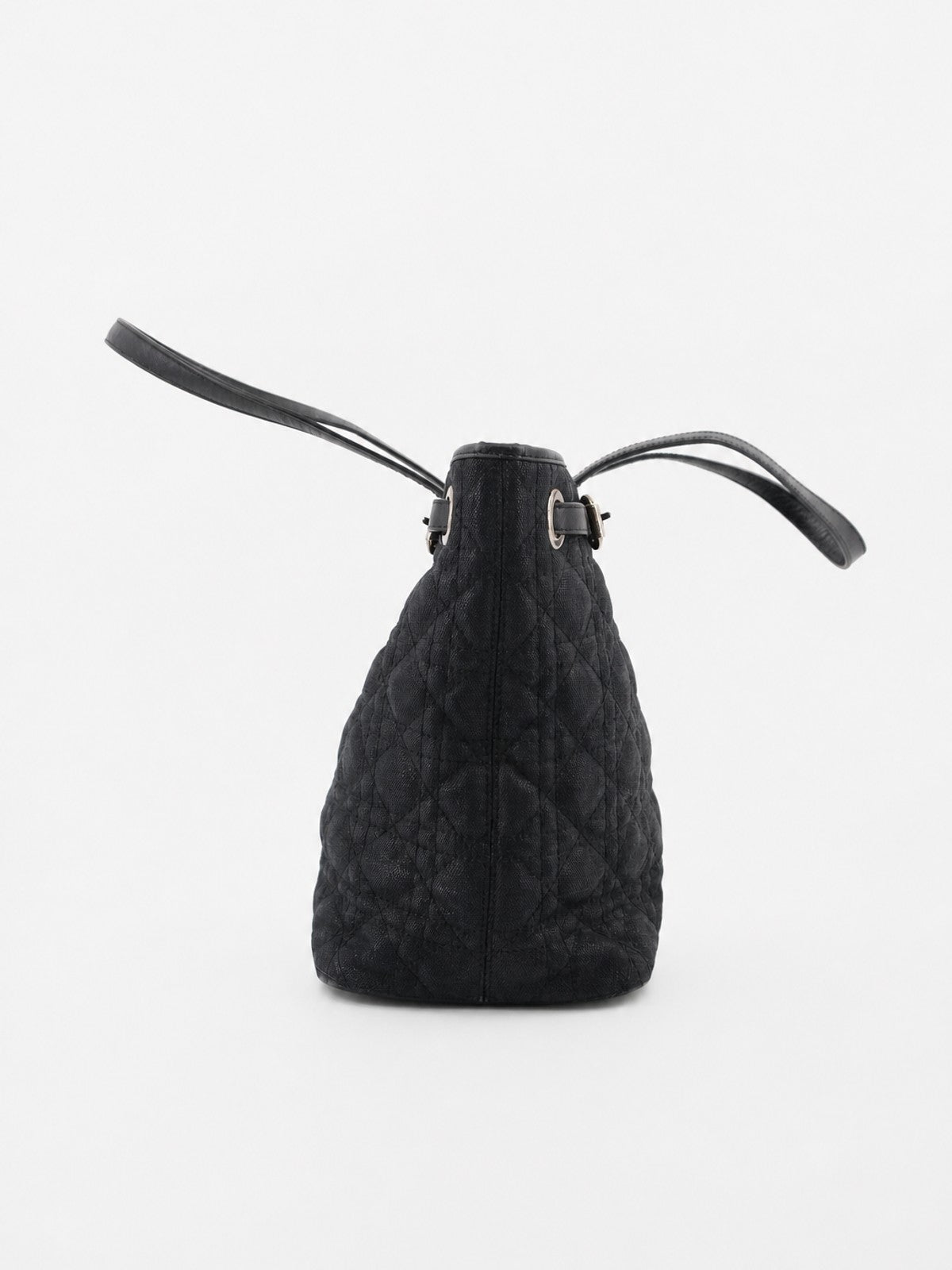 Christian Dior Tote Bag