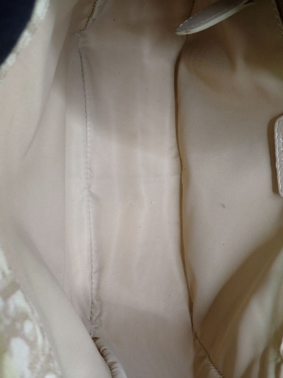 Christian Dior Hand Bag
