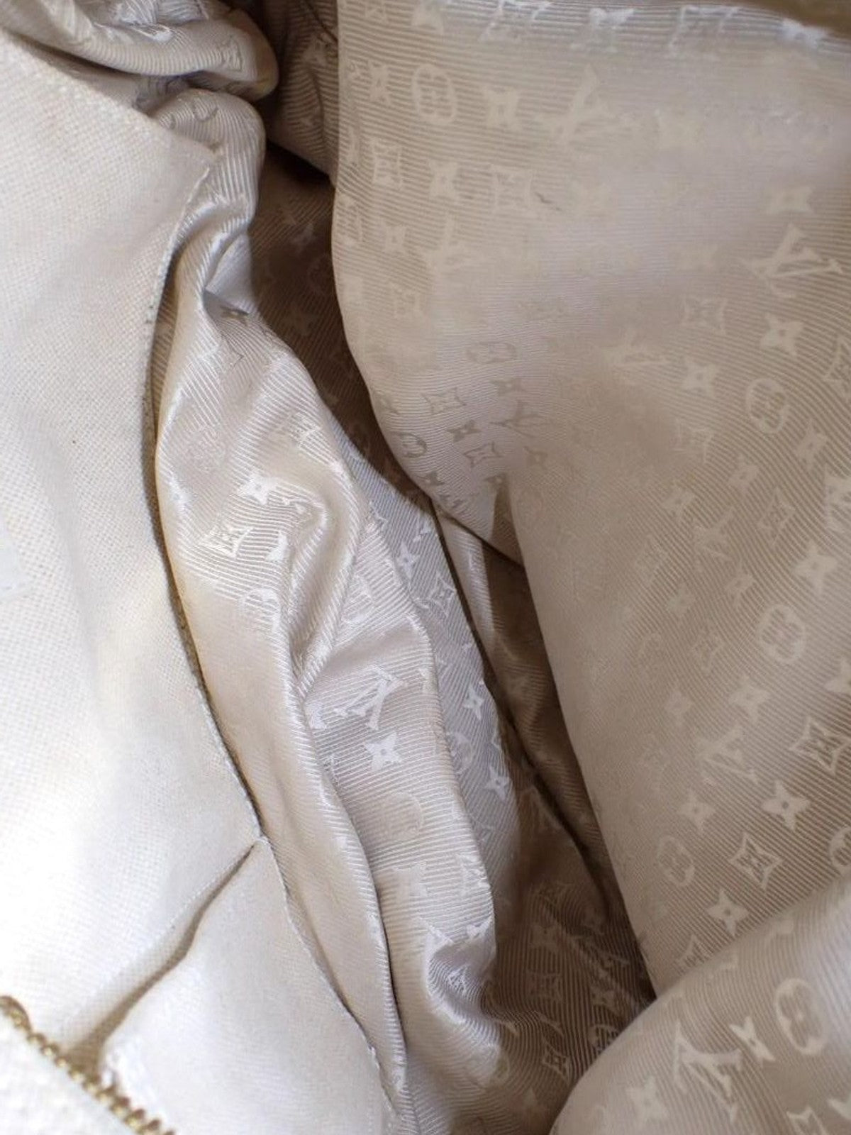 Louis Vuitton Hand Bag