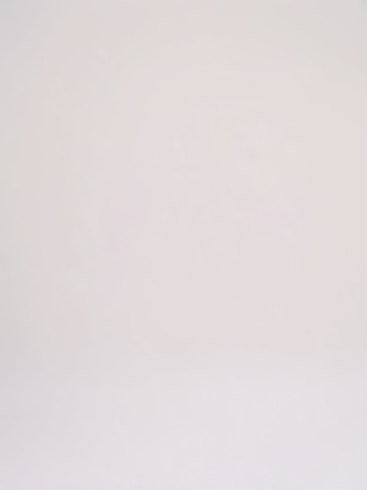 Load video: Balenciaga - City