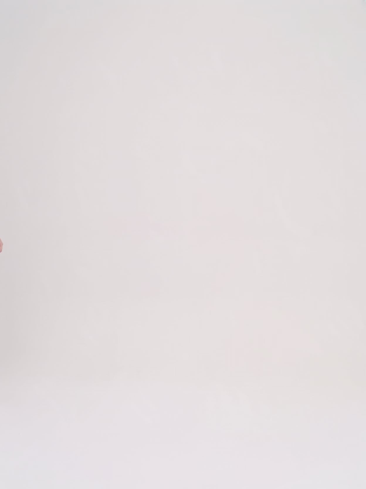Load video: Balenciaga - Velo