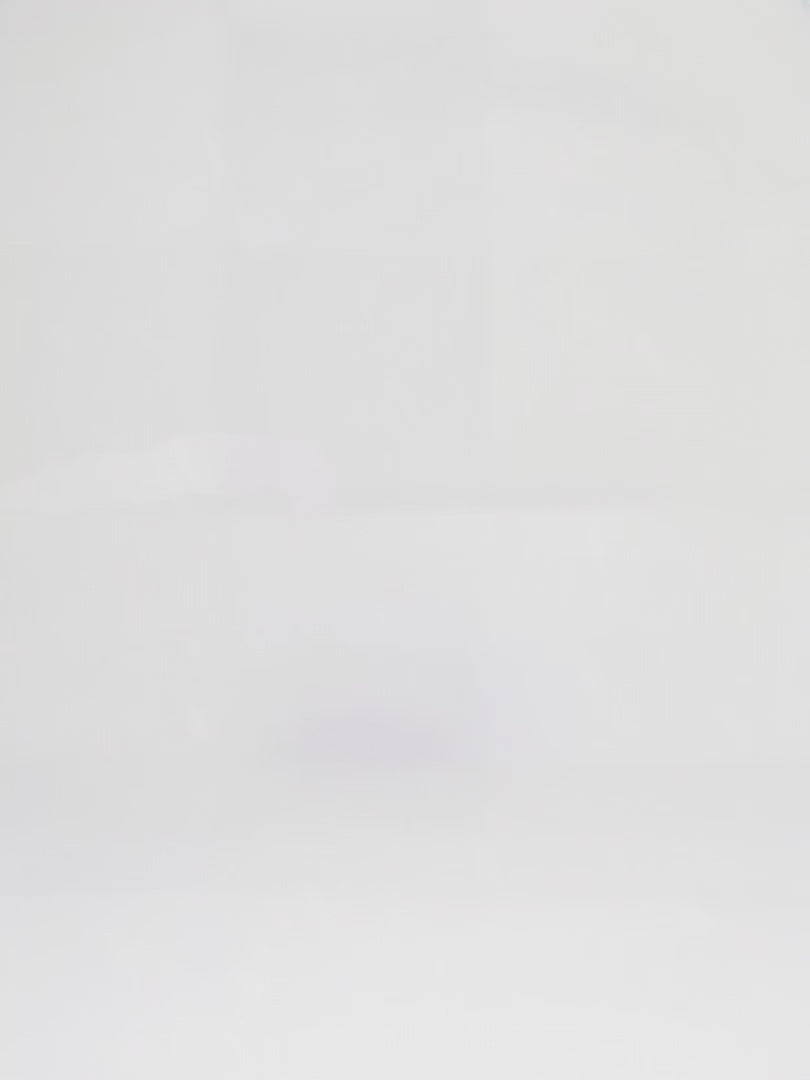 Load video: Louis Vuitton Ikat Noefull MM