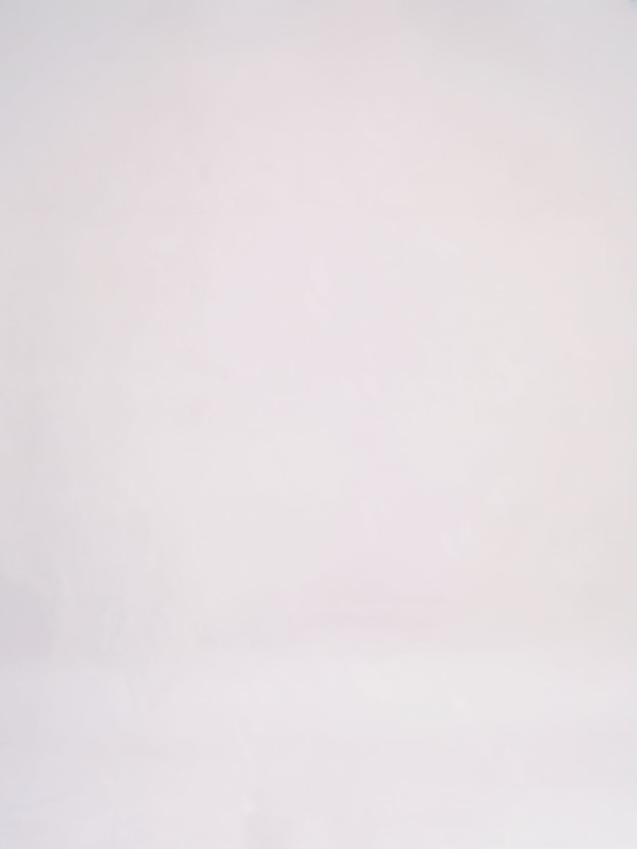 Load video: Balenciaga - First