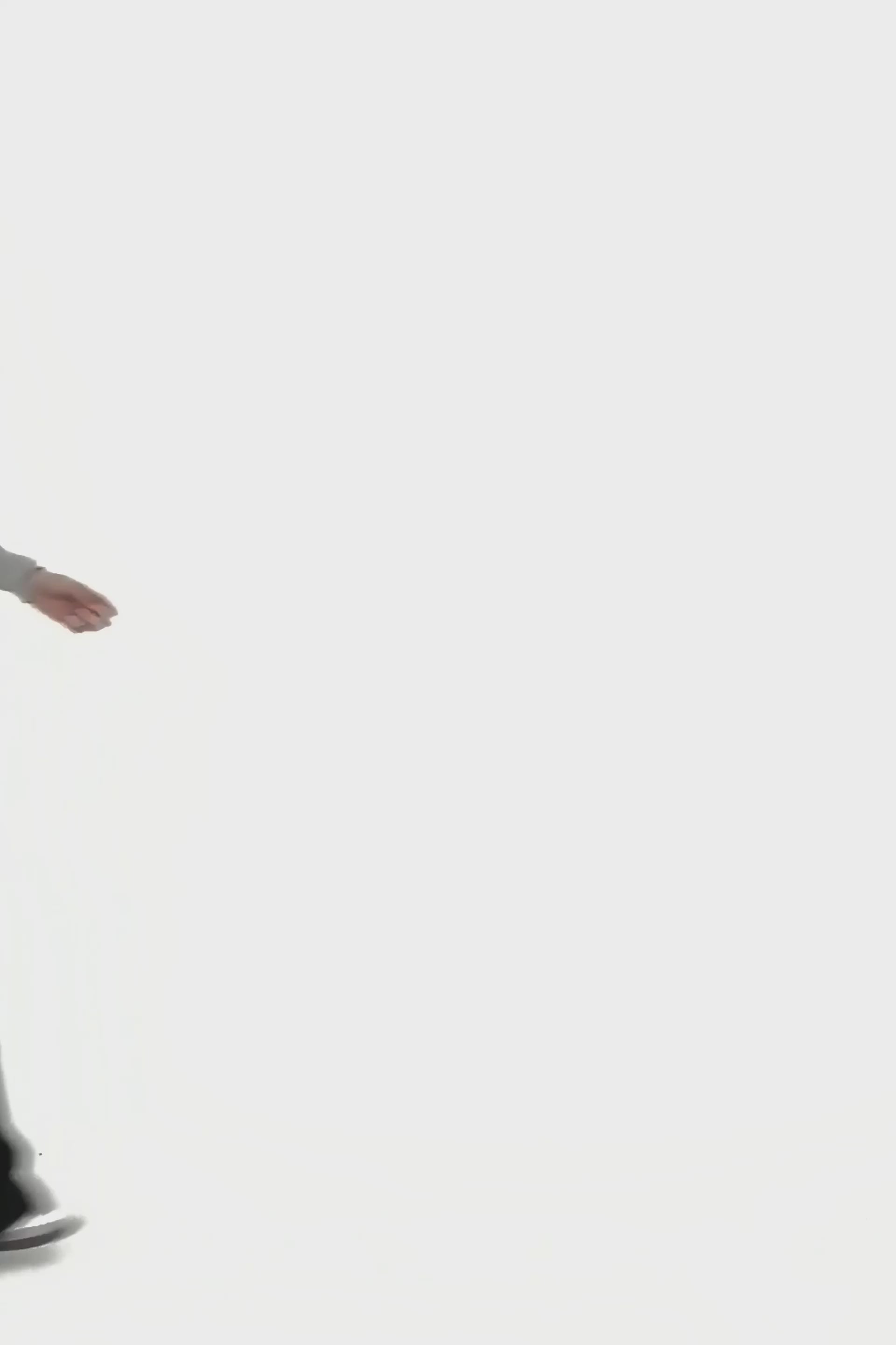 Load video: stylingimage