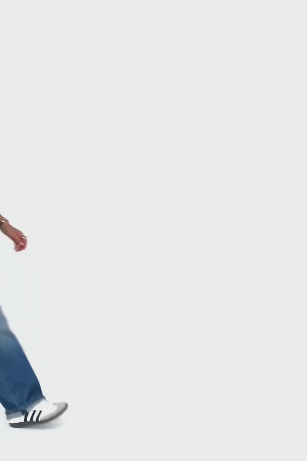 Load video: Fendi Roll Brown Canvas